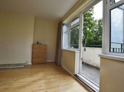 Picture 7